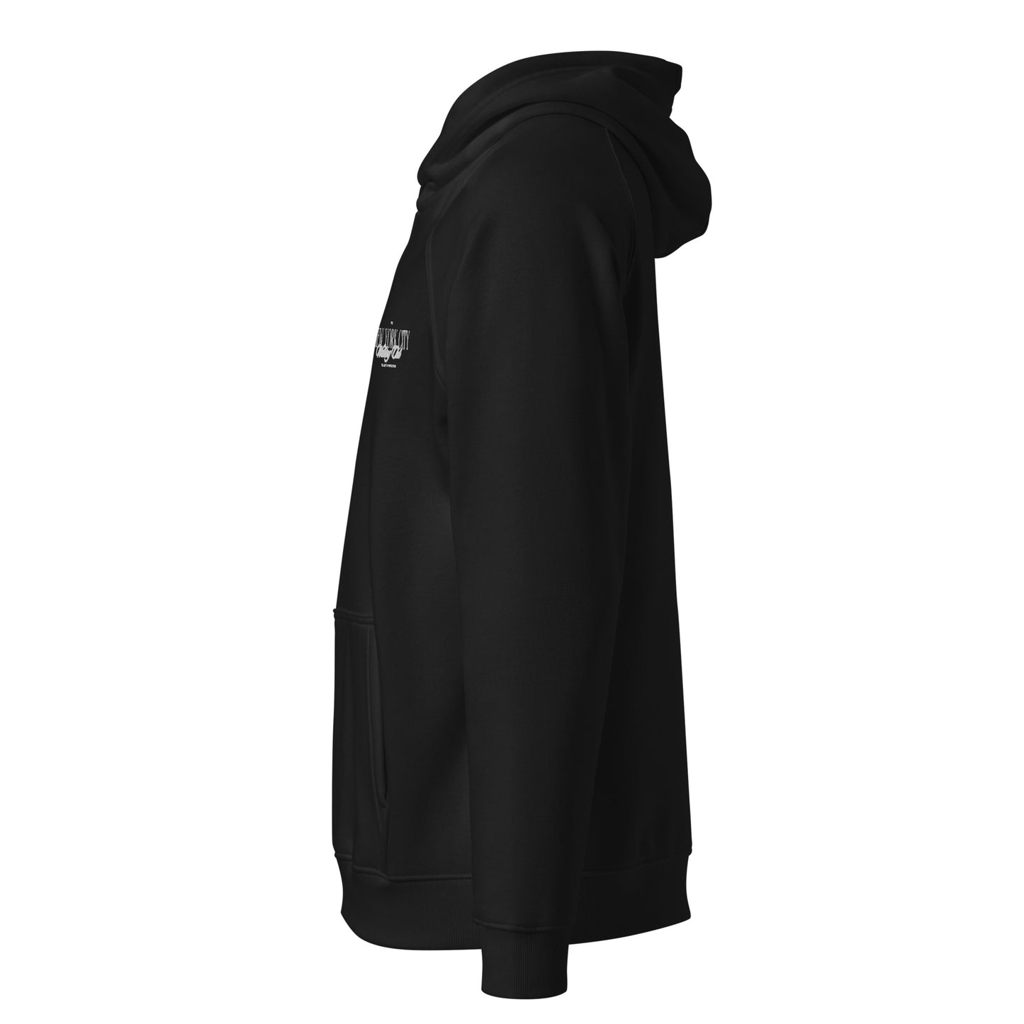 NYC Walking Club Eco Raglan Hoodie